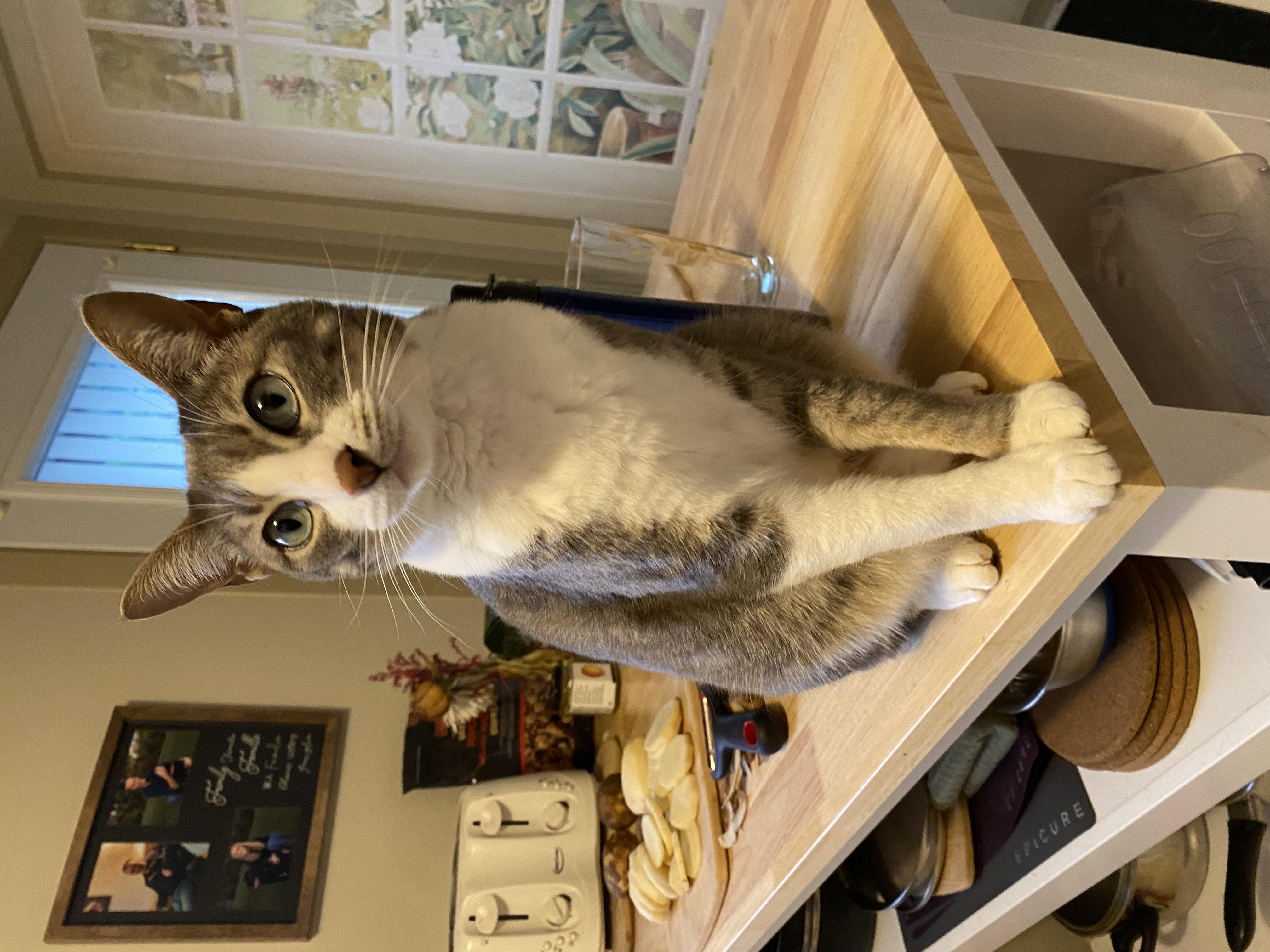 Arya in Canada (2022)