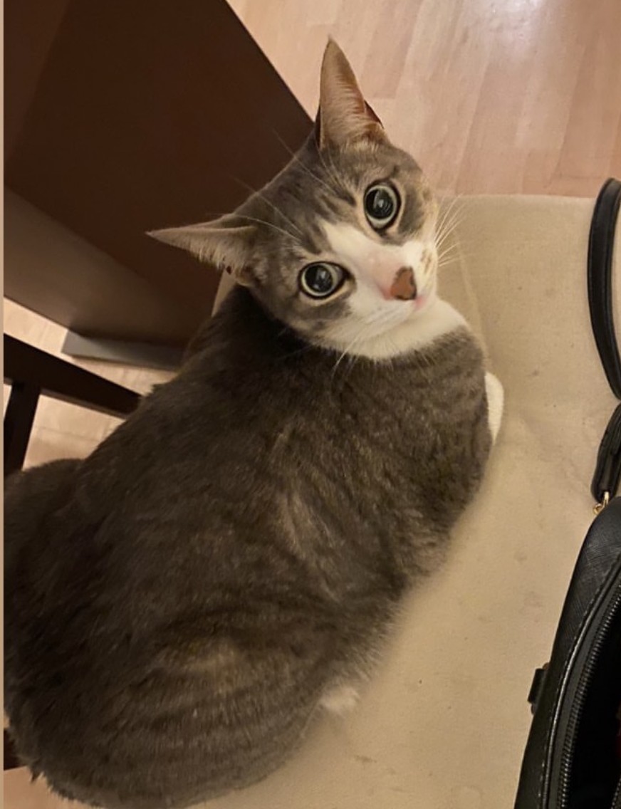 The biggest eyes (2022)