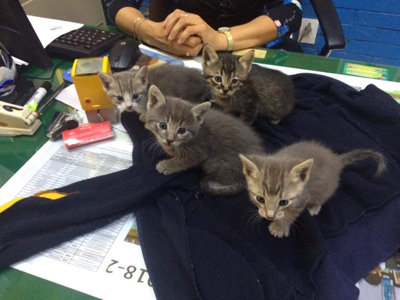 The first picture I've ever seen of her, with her siblings — she was the only girl (2019)