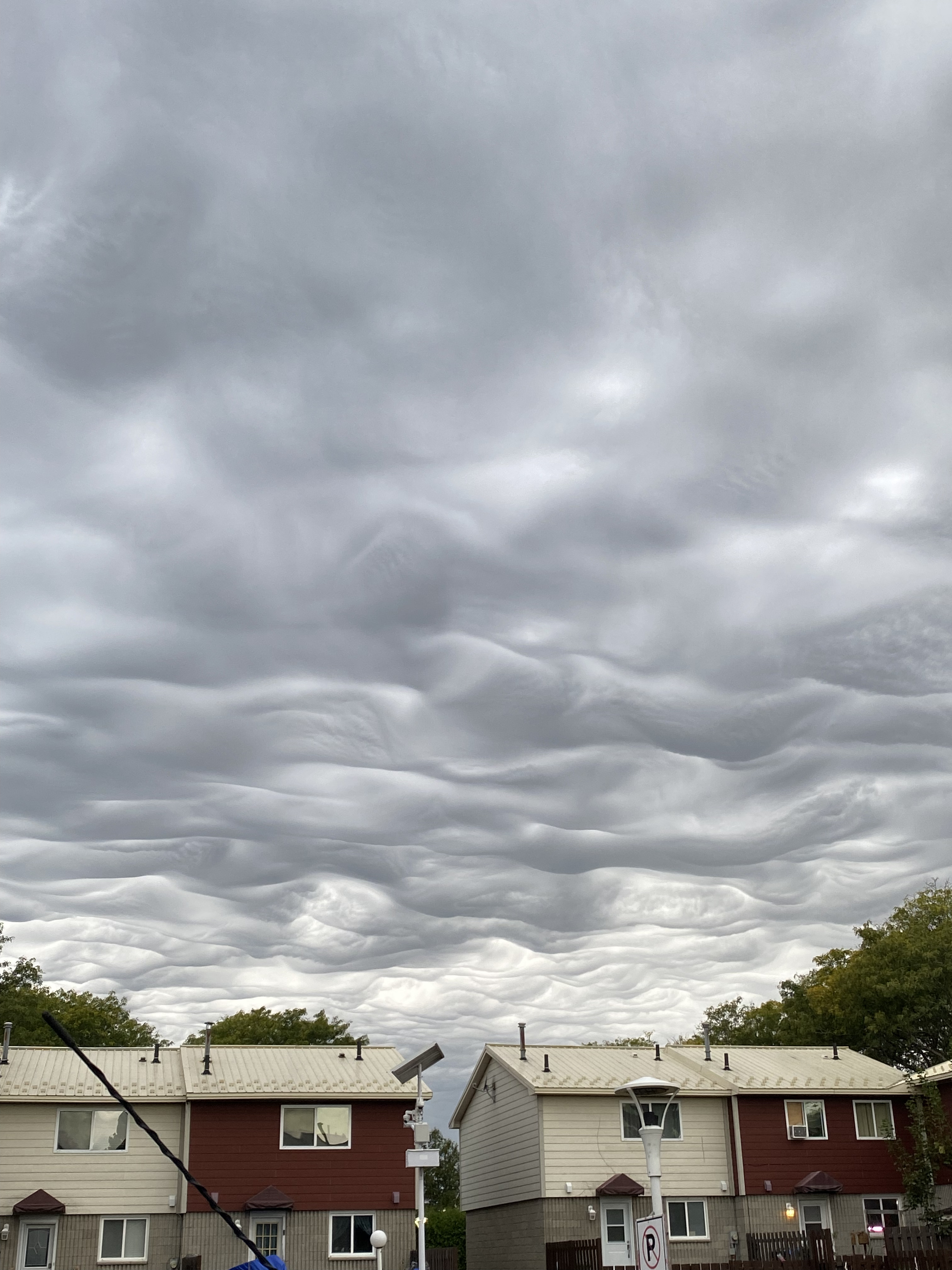 Asperatus clouds